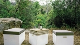 Modułowo w stylu lat 60. - zdjęcie 9